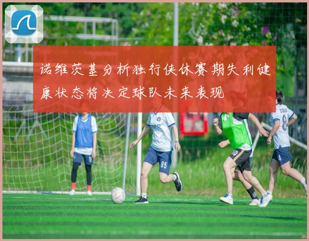 诺维茨基分析独行侠休赛期失利健康状态将决定球队未来表现