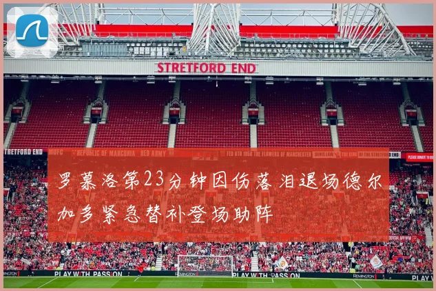 罗慕洛第23分钟因伤落泪退场德尔加多紧急替补登场助阵