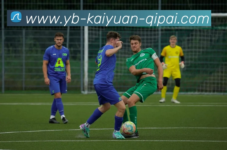 开元体育服务体系